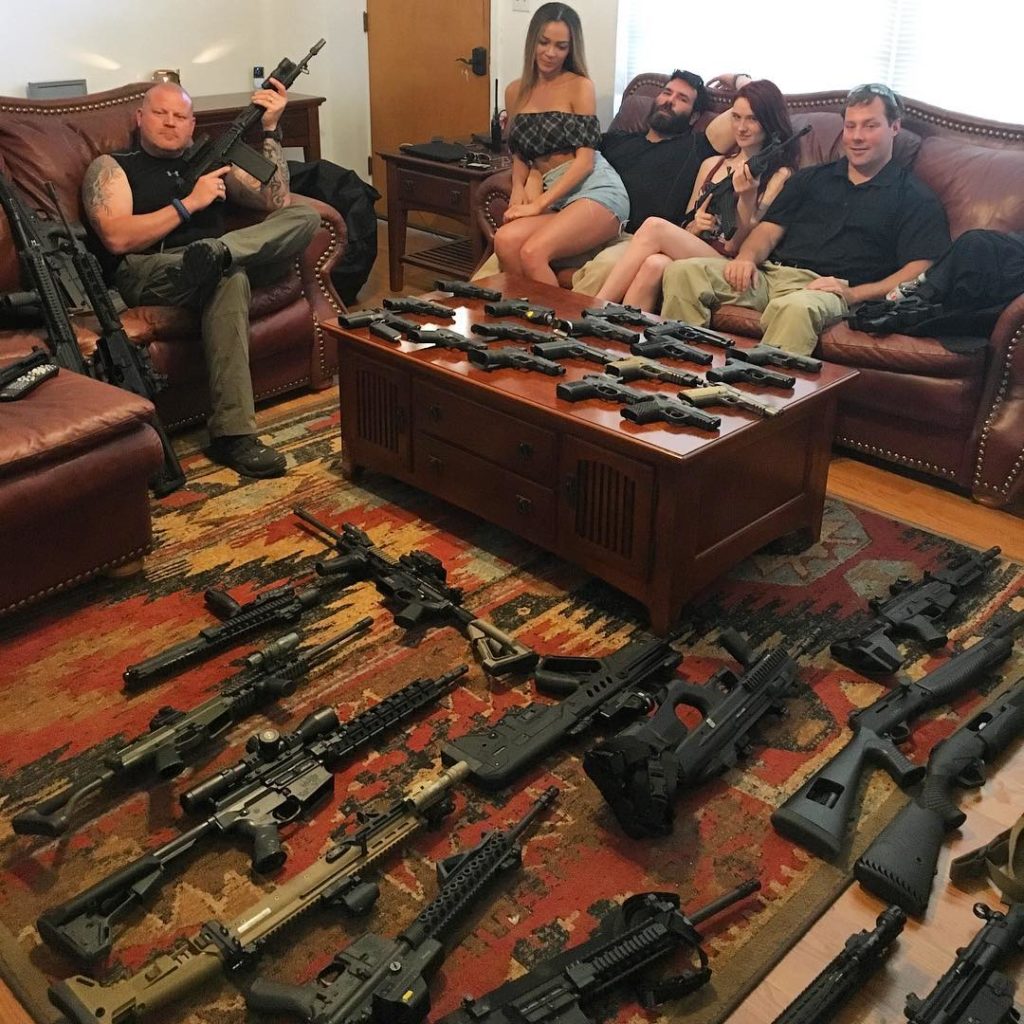 Dan bilzerian gun collection